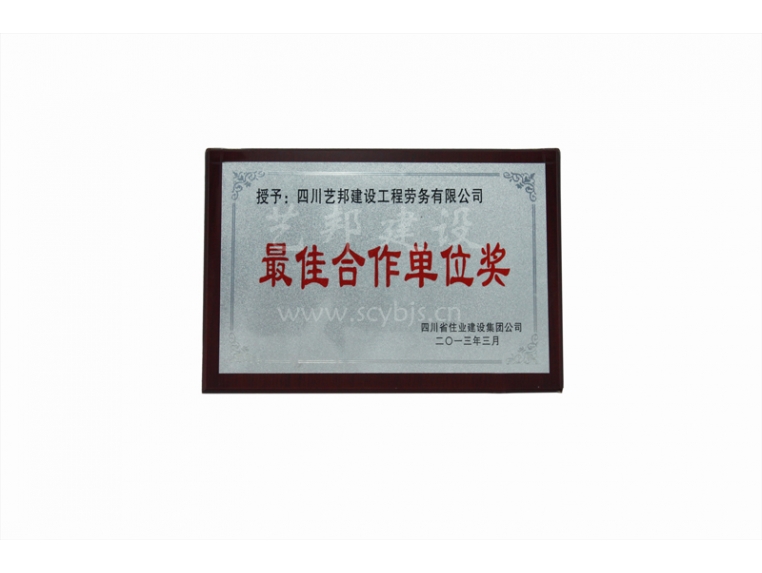 最佳合作单位奖